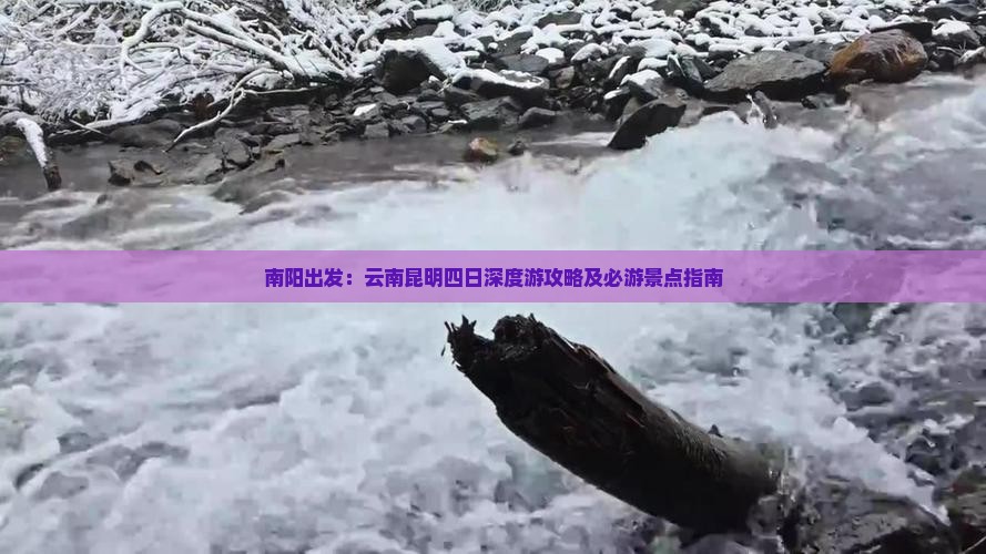 南阳出发：云南昆明四日深度游攻略及必游景点指南