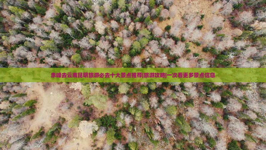赤峰去云南昆明旅游必去十大景点推荐|旅游攻略|一次看更多景点信息