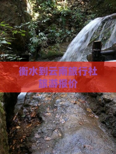 衡水到云南旅行社旅游报价