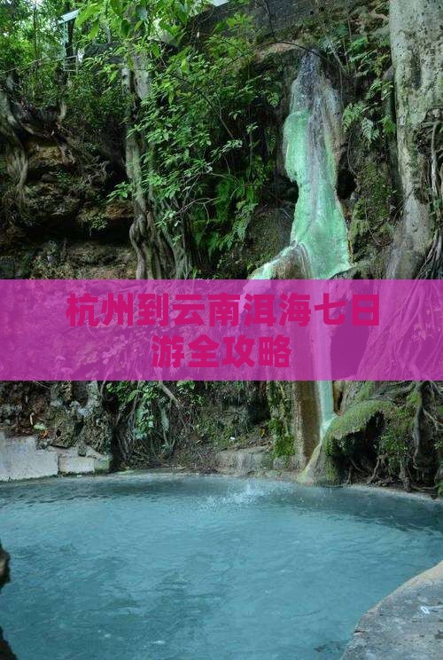 杭州到云南洱海七日游全攻略