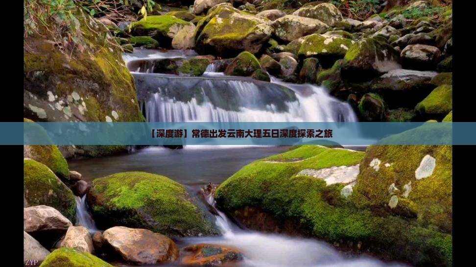 【深度游】常德出发云南大理五日深度探索之旅