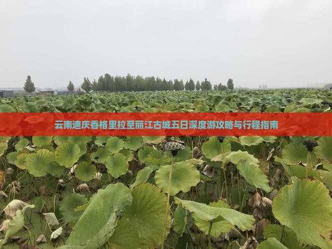 云南迪庆香格里拉至丽江古城五日深度游攻略与行程指南