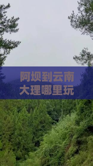 阿坝到云南大理哪里玩自驾游路线推荐
