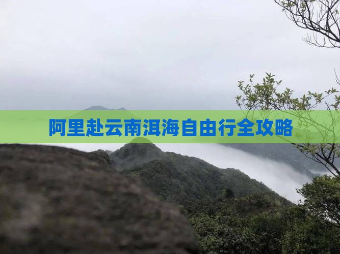 阿里赴云南洱海自由行全攻略