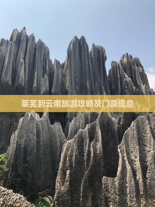 莱芜到云南旅游攻略及门票信息