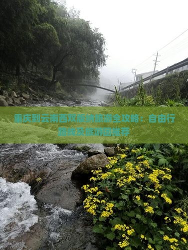 重庆到云南西双版纳旅游全攻略：自由行路线及旅游团推荐