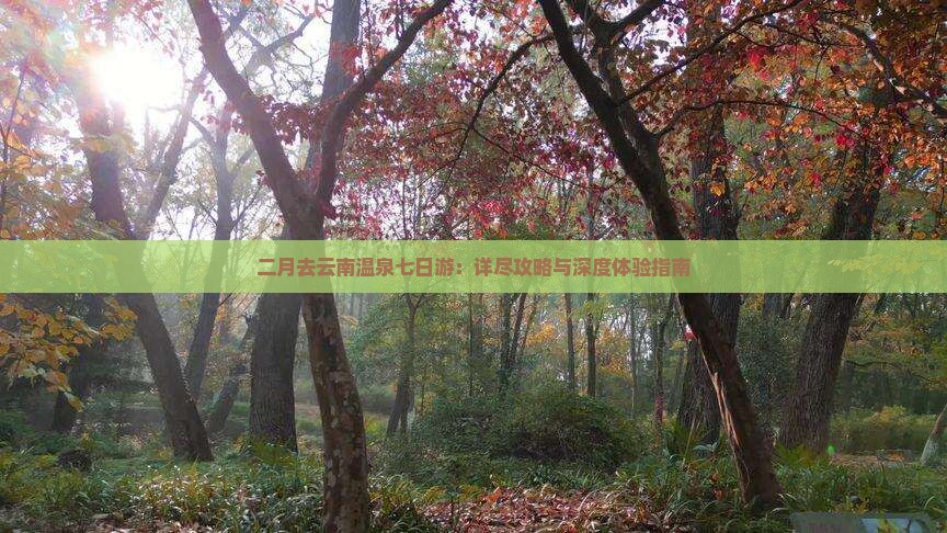 二月去云南温泉七日游：详尽攻略与深度体验指南
