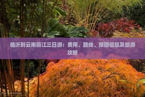 临沂到云南丽江三日游：费用、路线、报团信息及旅游攻略
