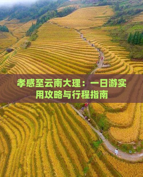孝感至云南大理：一日游实用攻略与行程指南