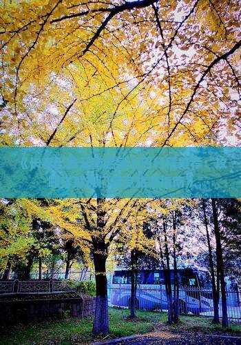 《长春出发云南温泉七日行程推荐：攻略详解热门景点旅游指南》