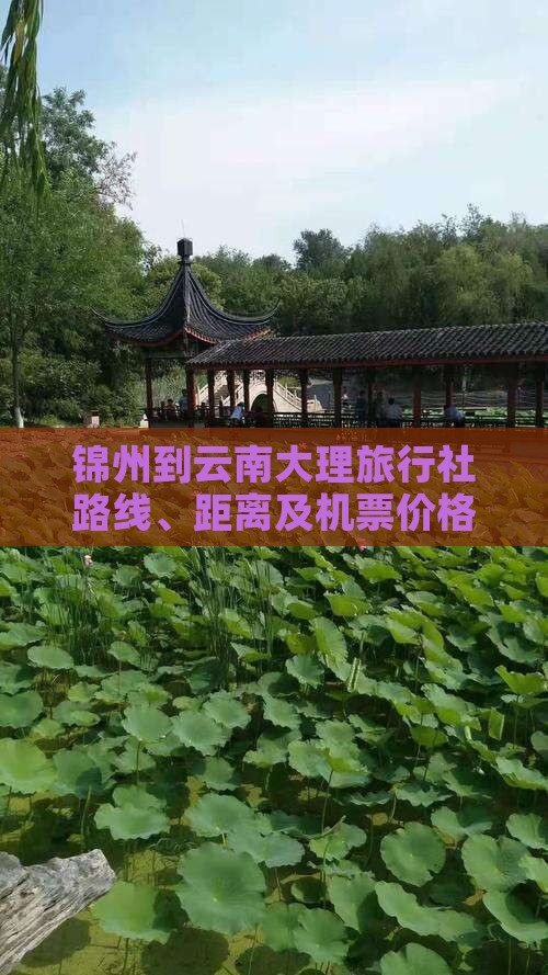 锦州到云南大理旅行社路线、距离及机票价格