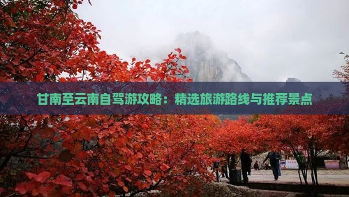 甘南至云南自驾游攻略：精选旅游路线与推荐景点