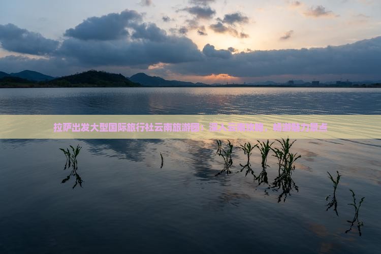 拉萨出发大型国际旅行社云南旅游团：深入云南攻略，畅游魅力景点