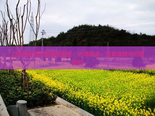 上饶出发游云南香格里拉：必游景点、美食攻略与行程规划