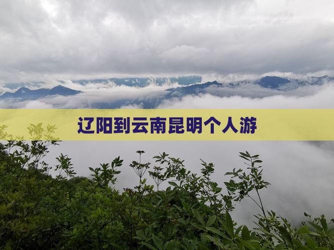 辽阳到云南昆明个人游