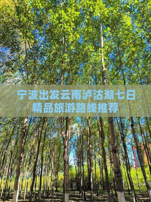 宁波出发云南泸沽湖七日精品旅游路线推荐