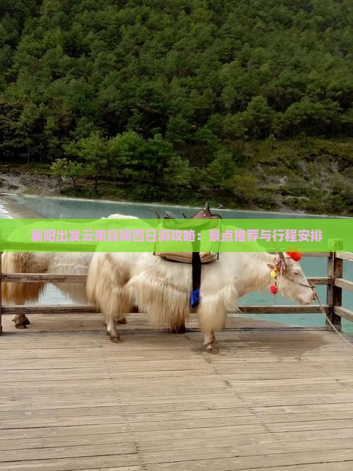 襄阳出发云南昆明四日游攻略：景点推荐与行程安排