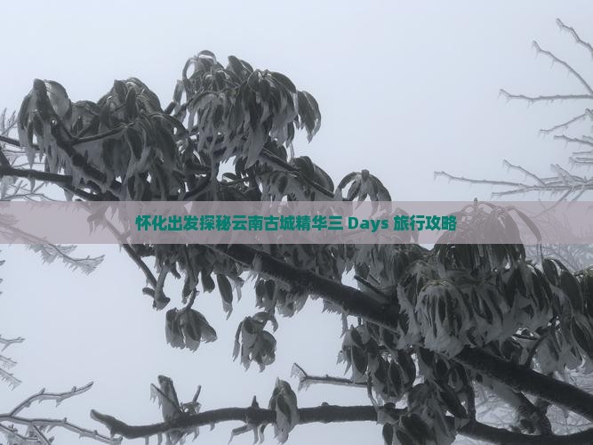 怀化出发探秘云南古城精华三 Days 旅行攻略