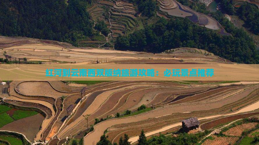 红河到云南西双版纳旅游攻略：必玩景点推荐