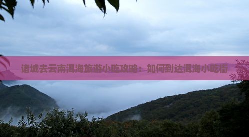 诸城去云南洱海旅游小吃攻略：如何到达洱海小吃街
