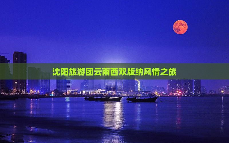 沈阳旅游团云南西双版纳风情之旅