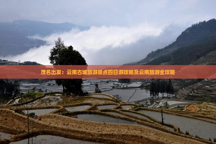 茂名出发：云南古城旅游景点四日游攻略及云南旅游全攻略