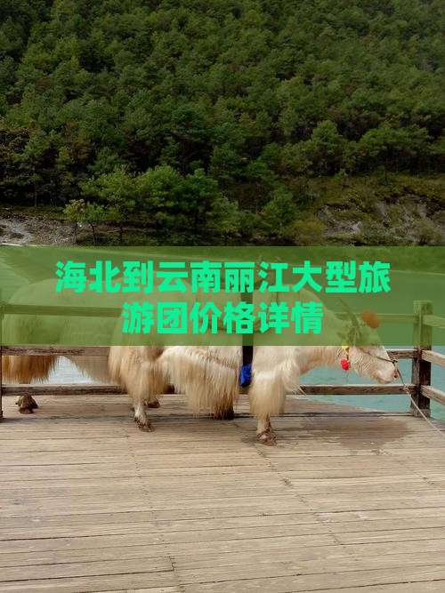海北到云南丽江大型旅游团价格详情