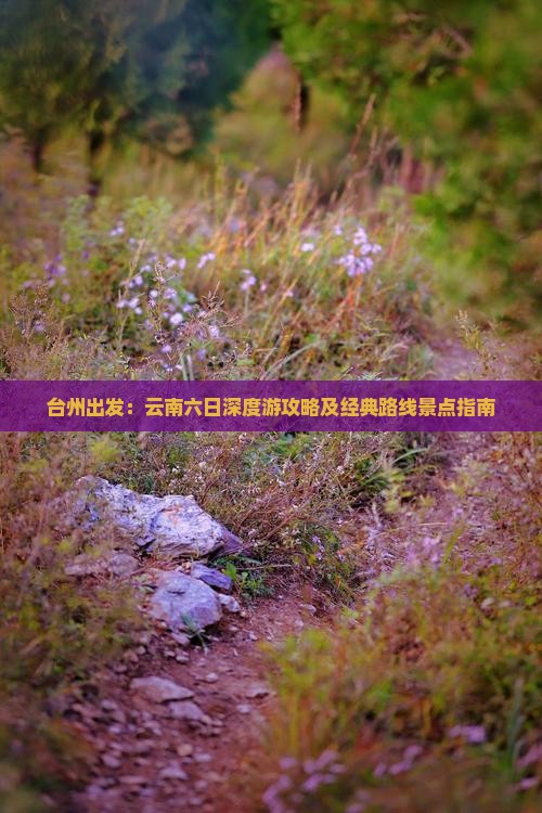 台州出发：云南六日深度游攻略及经典路线景点指南