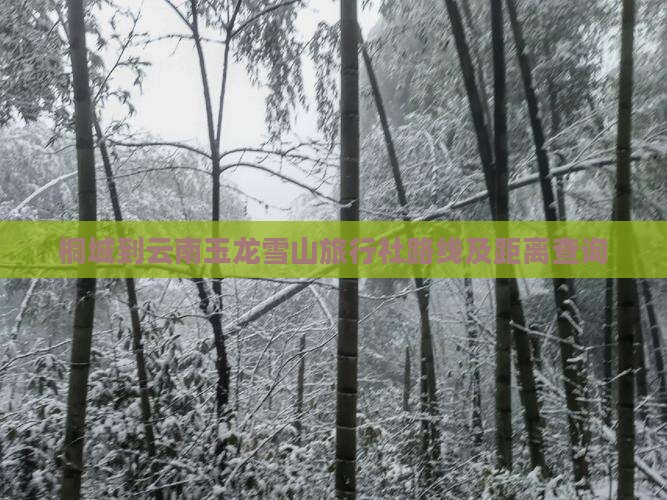 桐城到云南玉龙雪山旅行社路线及距离查询