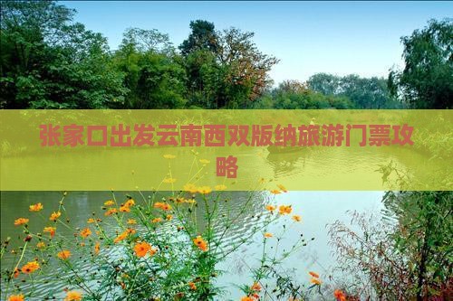 张家口出发云南西双版纳旅游门票攻略