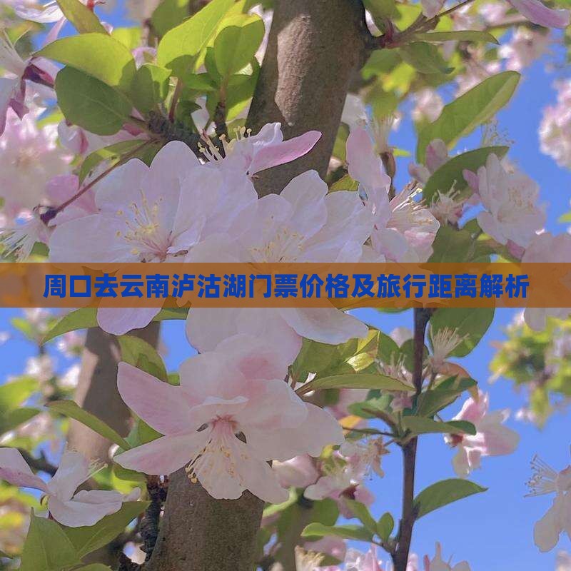 周口去云南泸沽湖门票价格及旅行距离解析