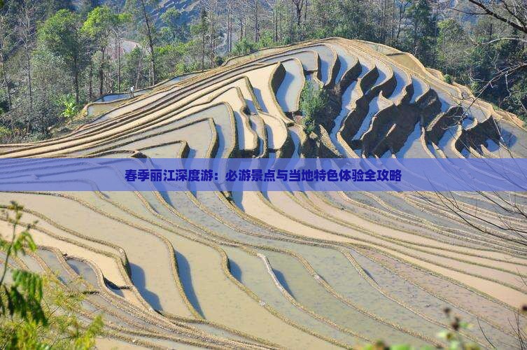 春季丽江深度游：必游景点与当地特色体验全攻略