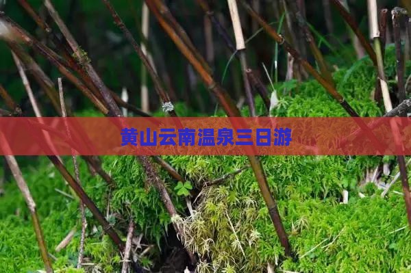 黄山云南温泉三日游