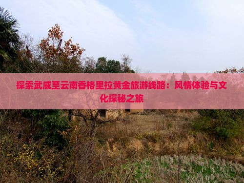 探索武威至云南香格里拉黄金旅游线路：风情体验与文化探秘之旅