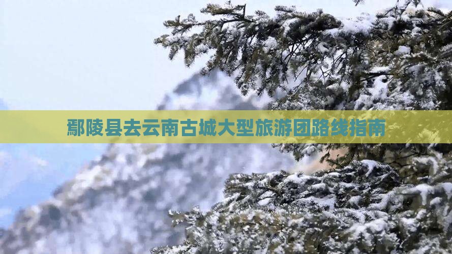 鄢陵县去云南古城大型旅游团路线指南