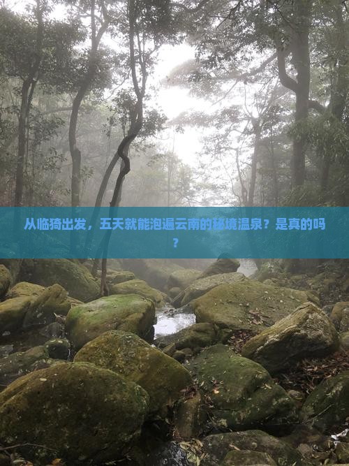 临猗到云南温泉五日游
