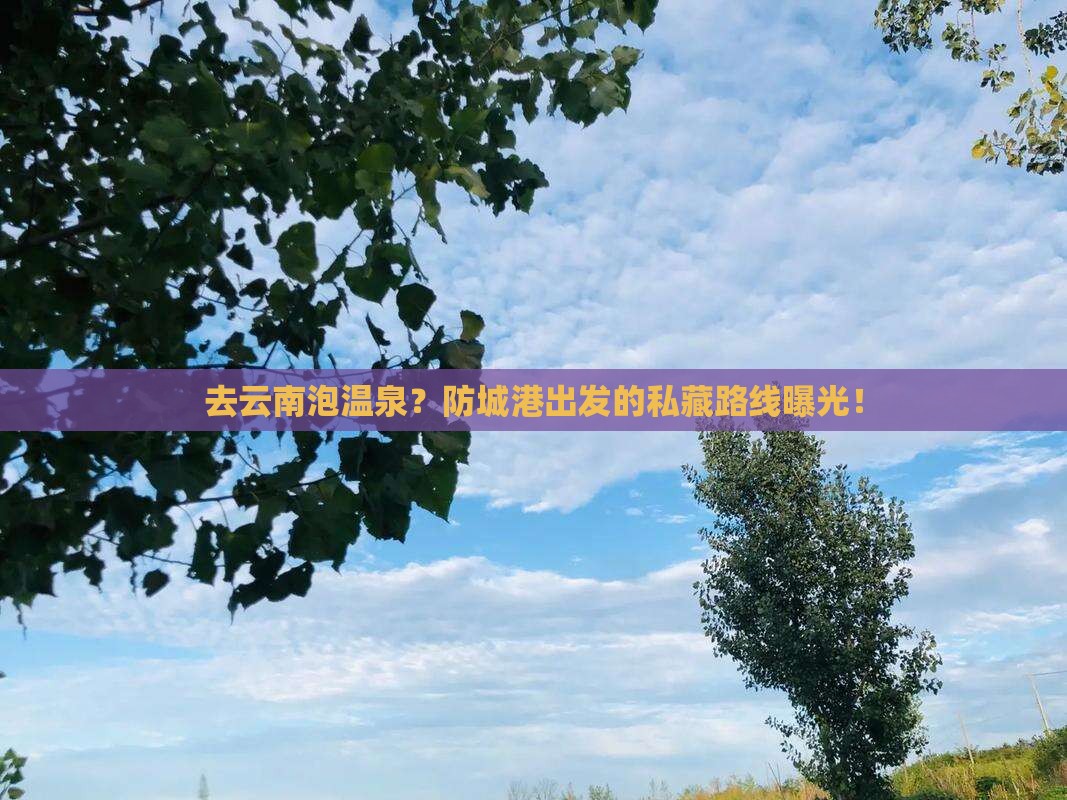 防城港去云南温泉攻略