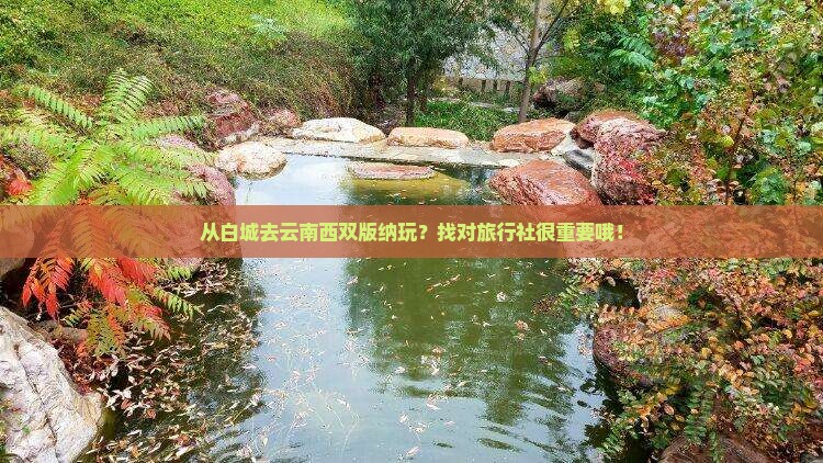 白城到云南西双版纳旅行社