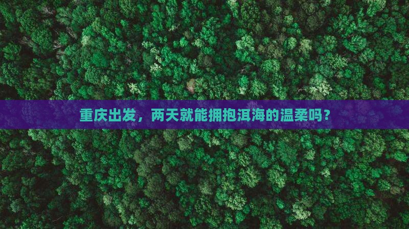 重庆去云南洱海二日游