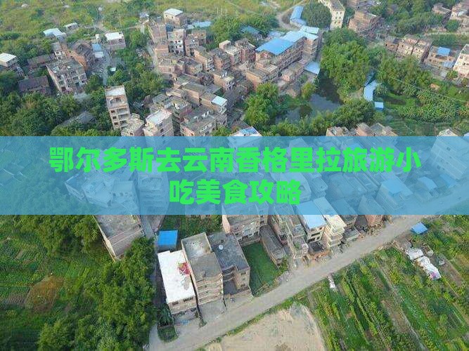 鄂尔多斯去云南香格里拉旅游小吃