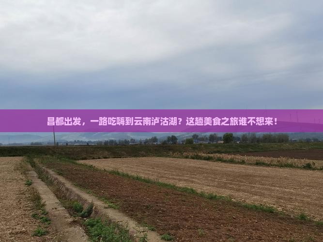 昌都到云南泸沽湖旅游小吃