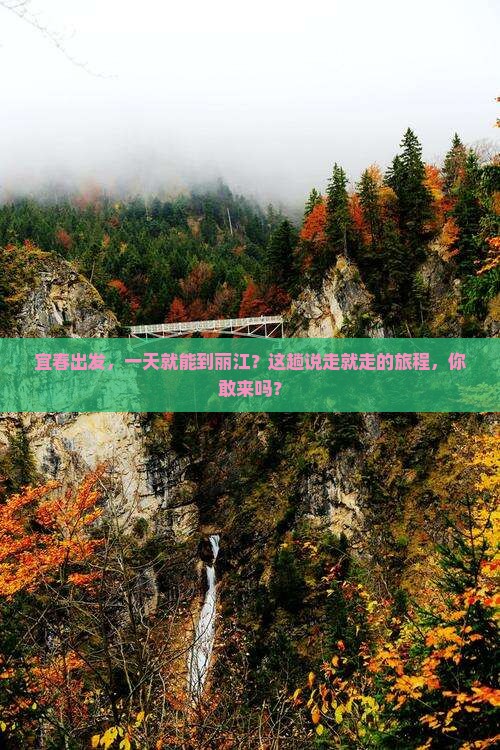 宜春到云南丽江一日