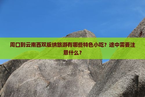 周口到云南西双版纳旅游小吃