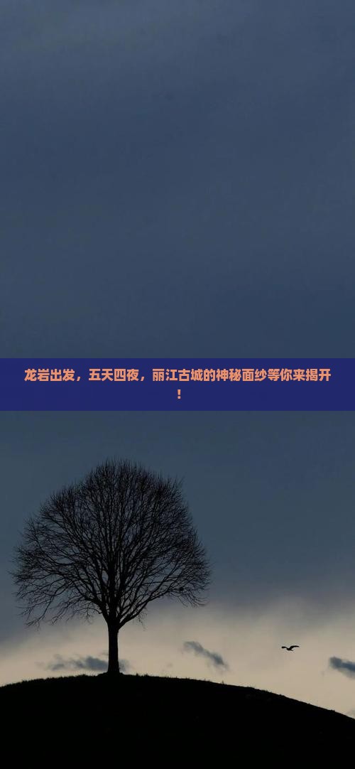 龙岩到云南丽江五日游