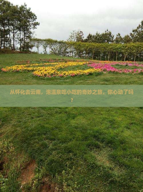 怀化到云南温泉旅游小吃