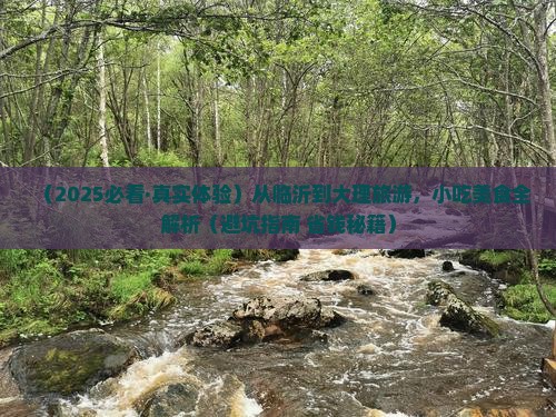 临沂到云南大理旅游小吃