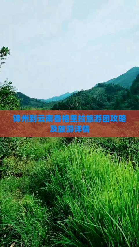 锦州到云南香格里拉大型旅游团