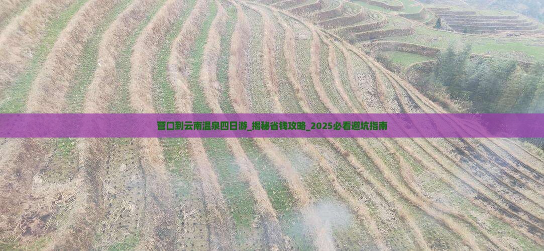 营口到云南温泉四日游