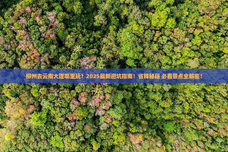 柳州去云南大理哪里玩