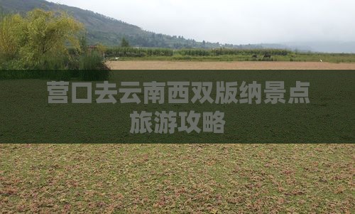 营口去云南西双版纳景点
